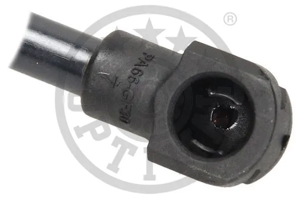 Gas Spring, boot/cargo area