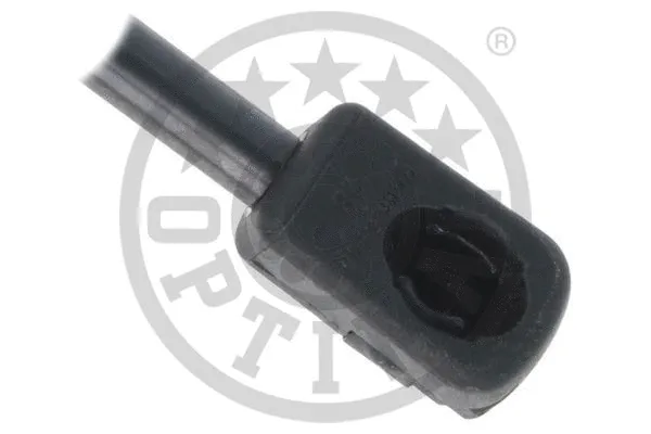 Gas Spring, boot/cargo area