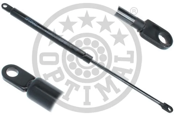 Gas Spring, boot/cargo area (AG-50049)