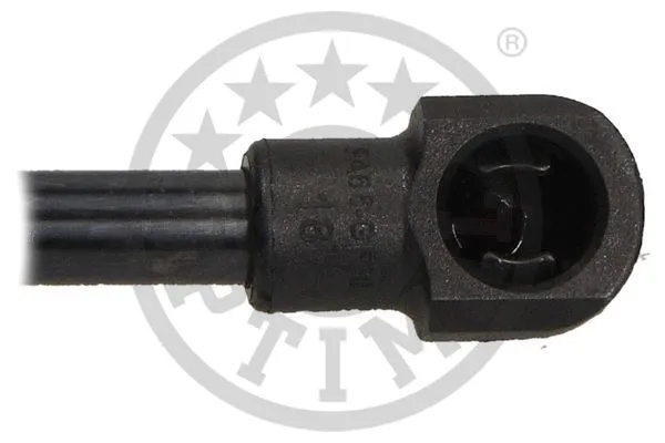 Gas Spring, boot/cargo area