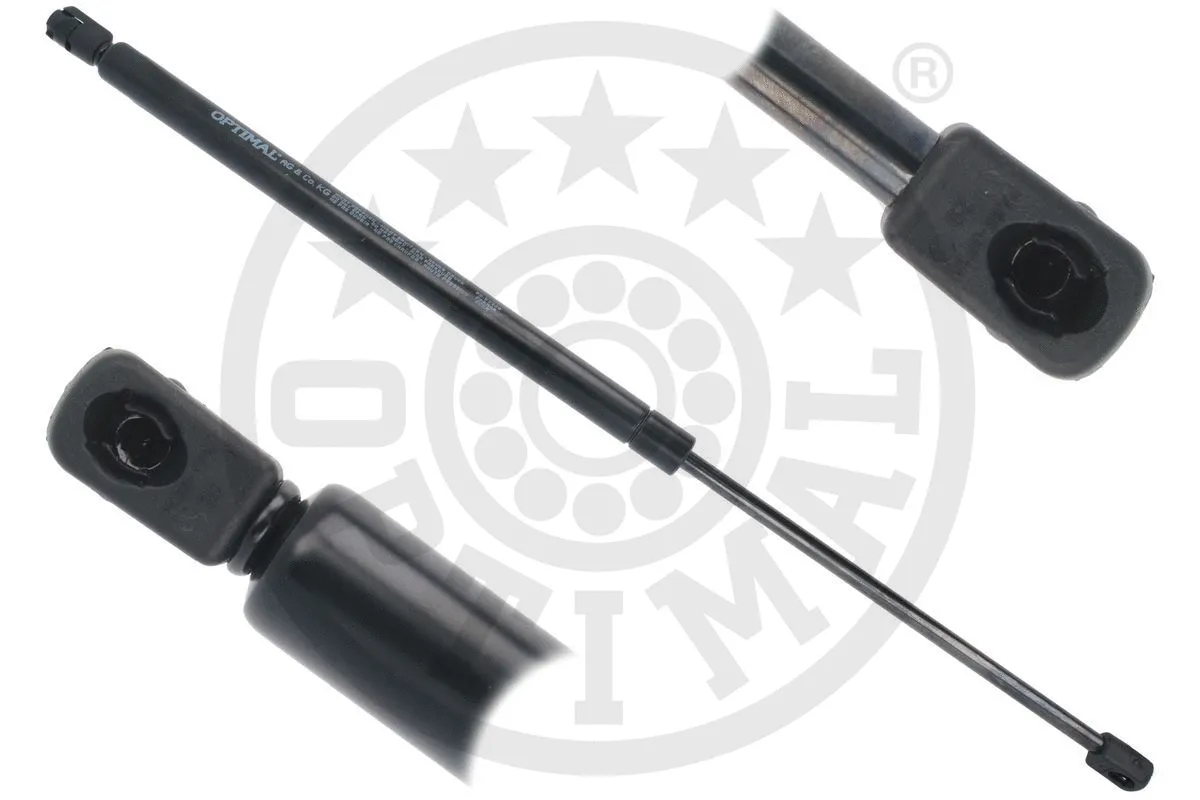 Gas Spring, boot/cargo area (AG-52326)