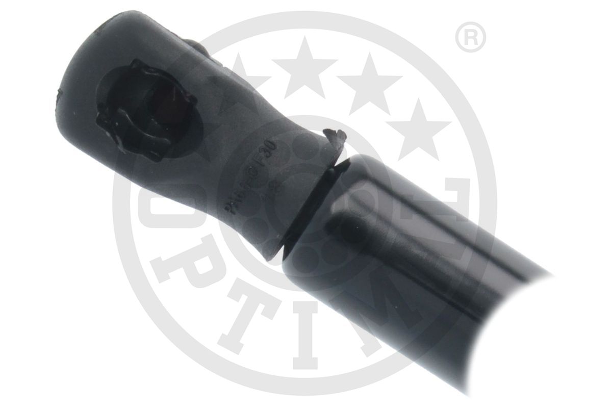 Gas Spring, boot/cargo area