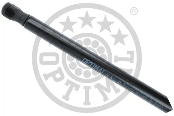 Gas Spring, boot/cargo area