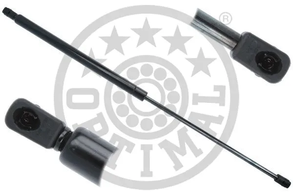 Gas Spring, boot/cargo area (AG-51858)