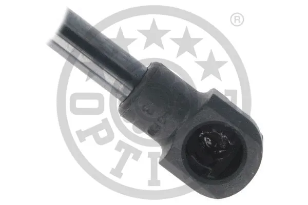 Gas Spring, boot/cargo area