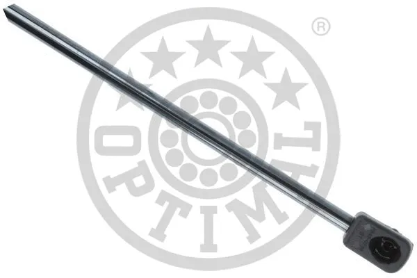 Gas Spring, boot/cargo area