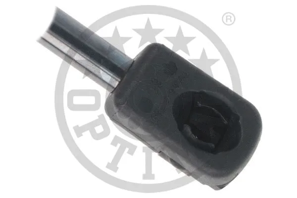 Gas Spring, boot/cargo area