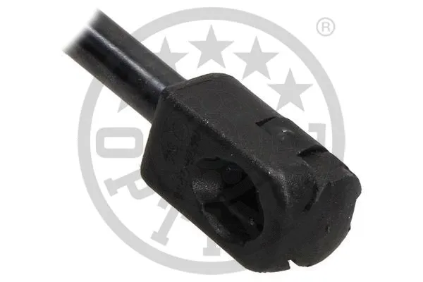 Gas Spring, boot/cargo area