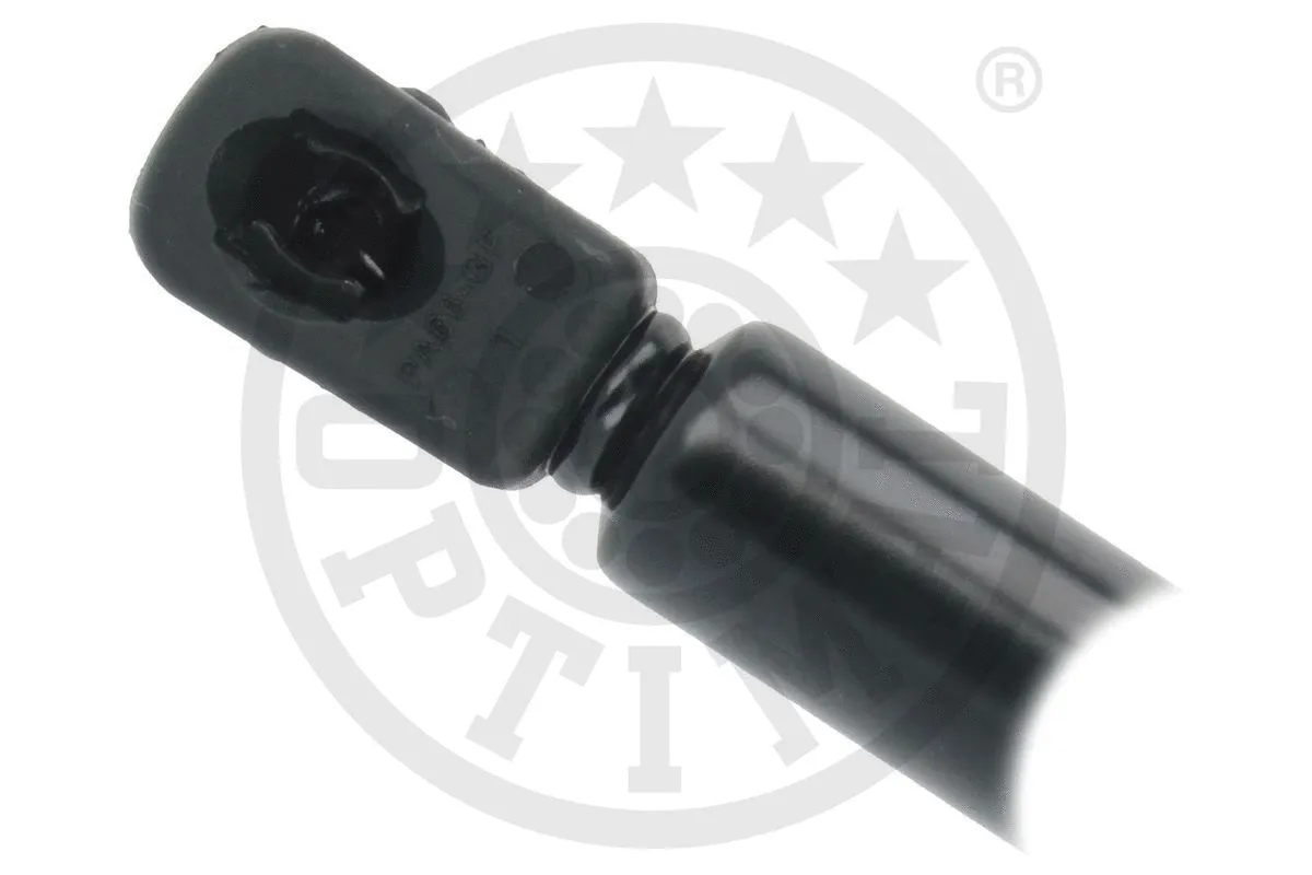 Gas Spring, boot/cargo area