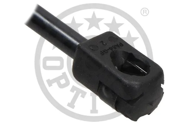 Gas Spring, boot/cargo area