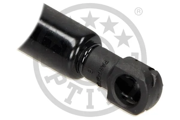 Gas Spring, boot/cargo area