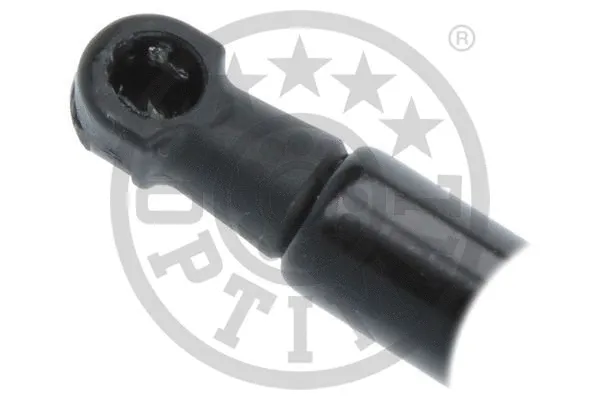 Gas Spring, boot/cargo area
