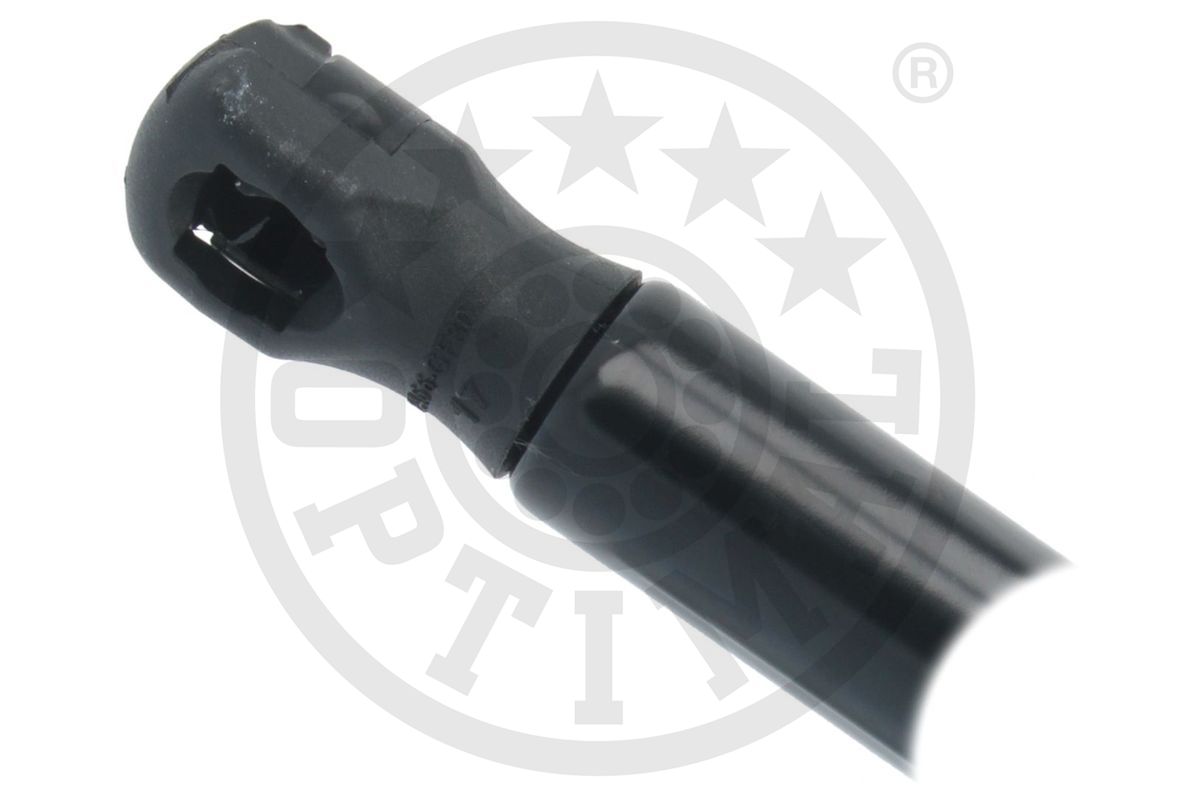 Gas Spring, boot/cargo area