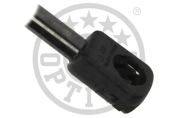 Gas Spring, boot/cargo area