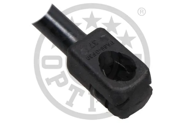 Gas Spring, boot/cargo area