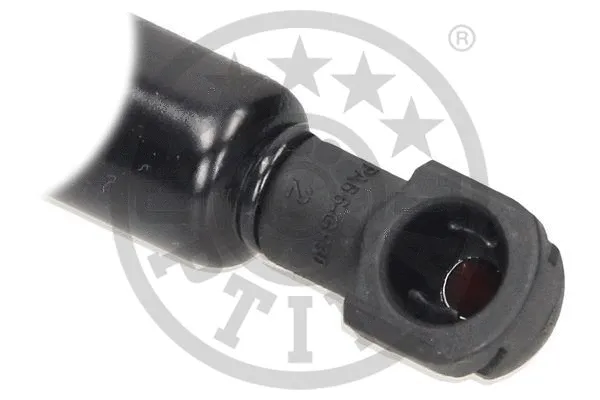 Gas Spring, boot/cargo area