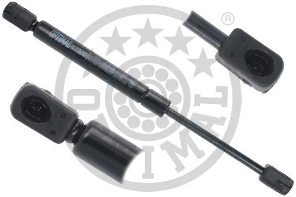 Gas Spring, boot/cargo area (AG-50163)