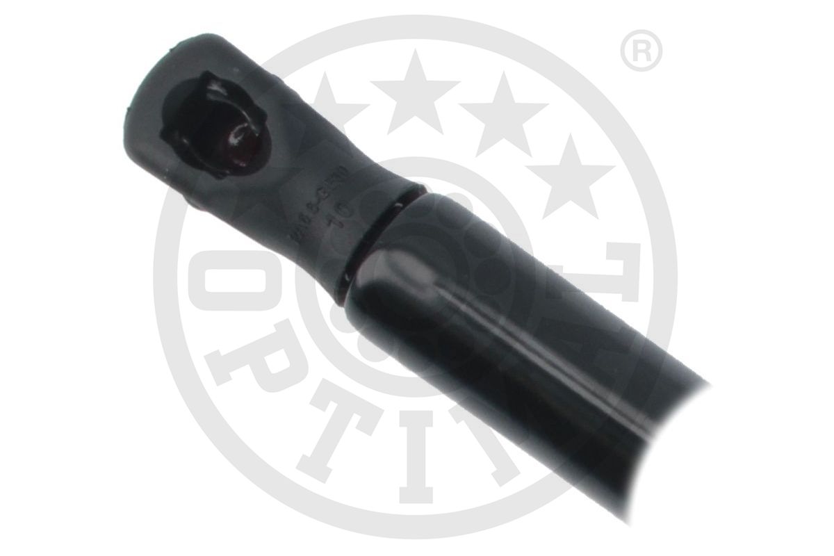 Gas Spring, boot/cargo area