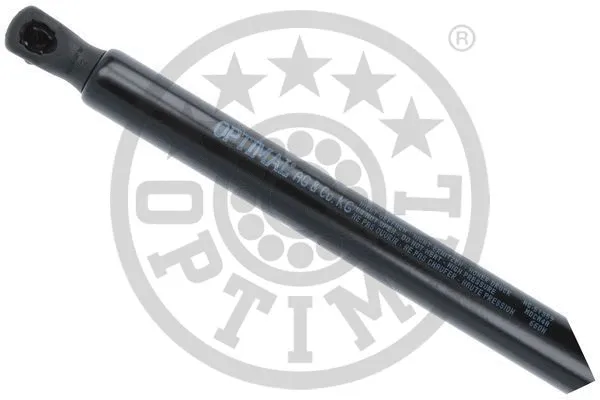 Gas Spring, boot/cargo area