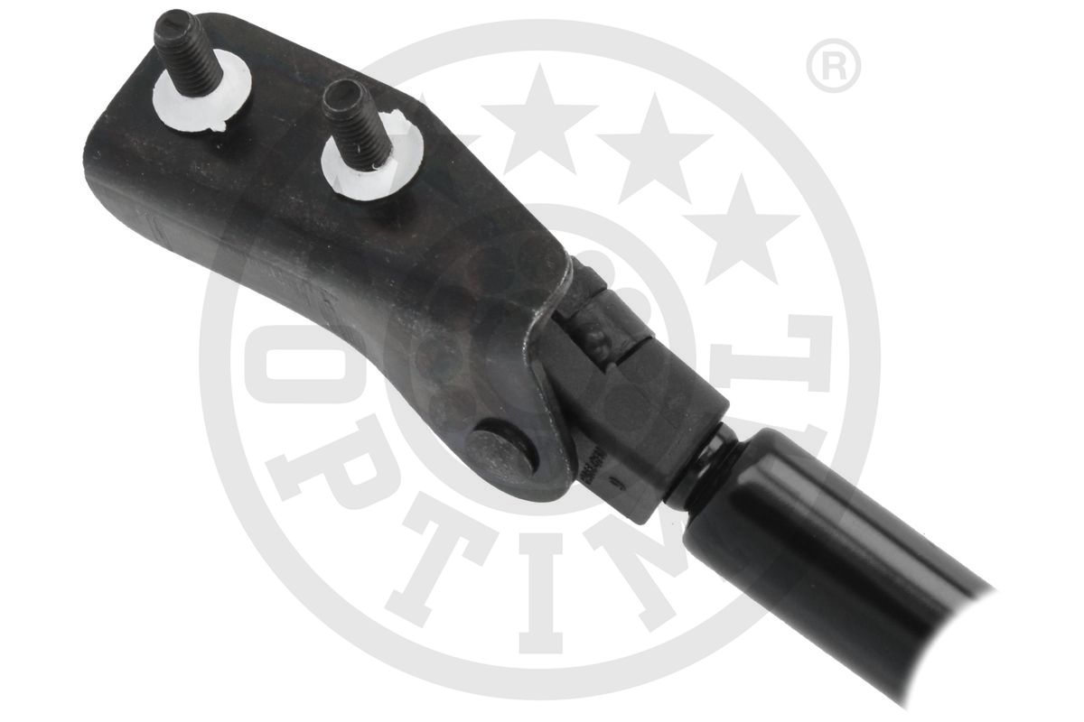 Gas Spring, boot/cargo area