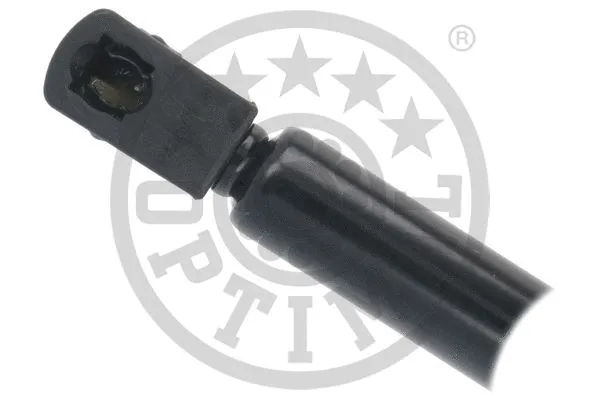 Gas Spring, boot/cargo area