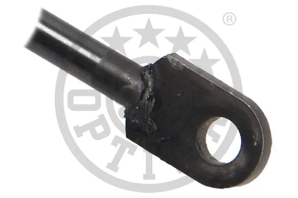 Gas Spring, boot/cargo area