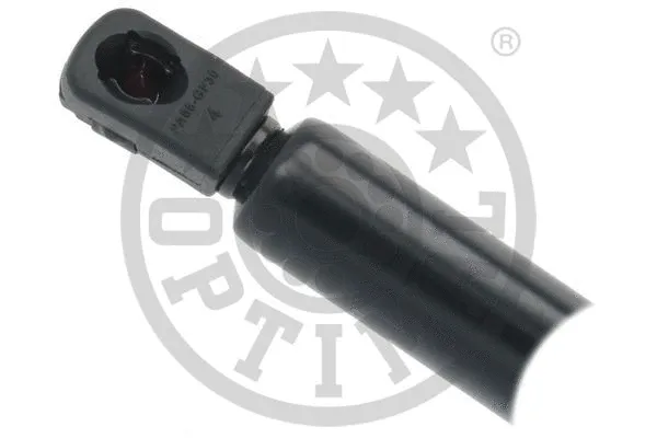 Gas Spring, boot/cargo area