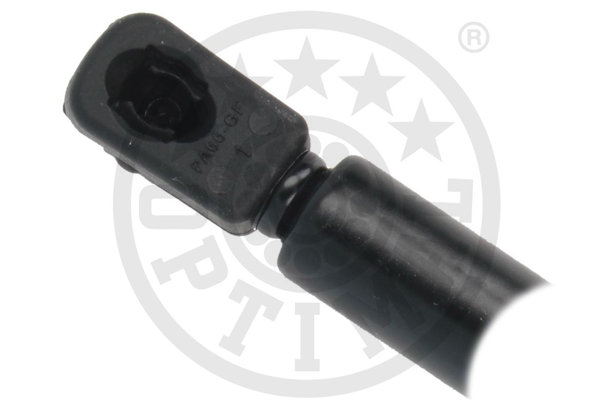 Gas Spring, boot/cargo area