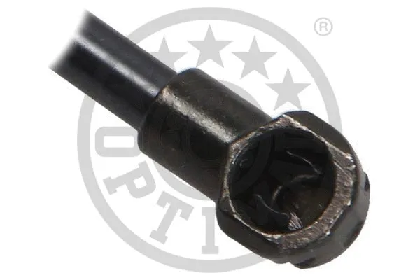 Gas Spring, boot/cargo area