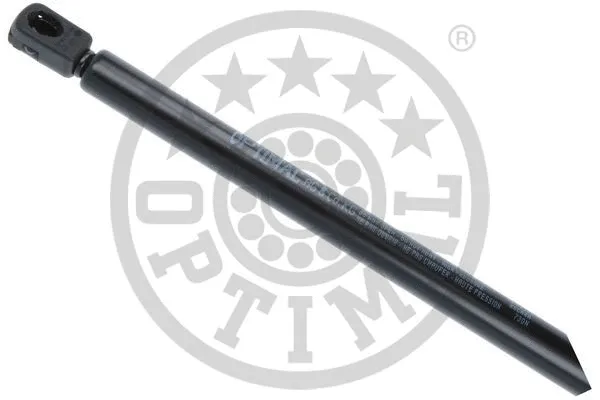 Gas Spring, boot/cargo area