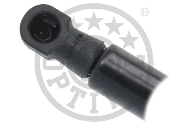 Gas Spring, rear window