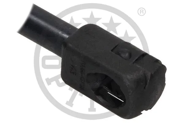 Gas Spring, boot/cargo area