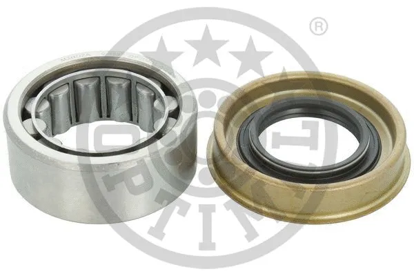 Wheel Bearing Kit (252348)