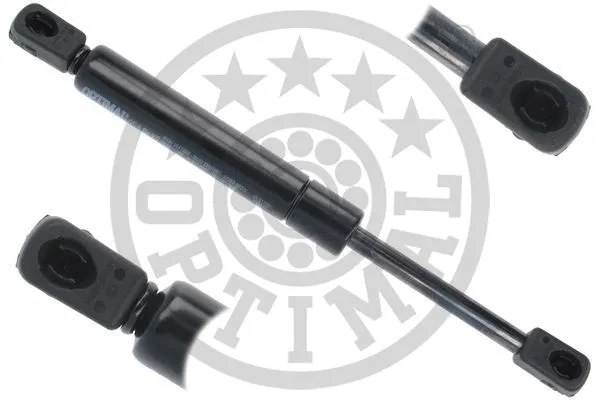 Gas Spring, boot/cargo area (AG-51580)