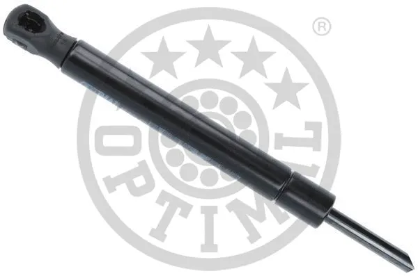 Gas Spring, boot/cargo area