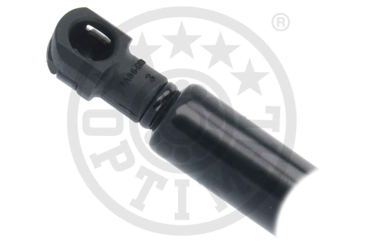 Gas Spring, boot/cargo area