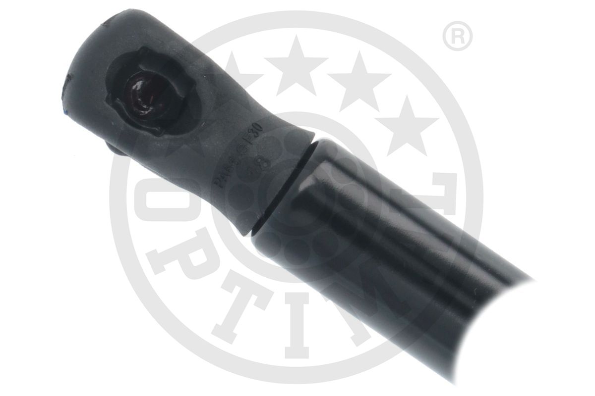 Gas Spring, boot/cargo area
