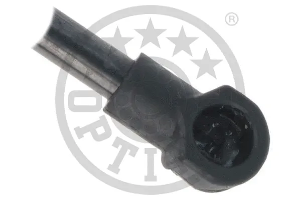 Gas Spring, boot/cargo area