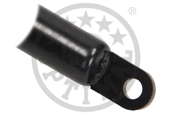 Gas Spring, boot/cargo area