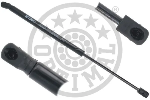 Gas Spring, boot/cargo area (AG-51589)