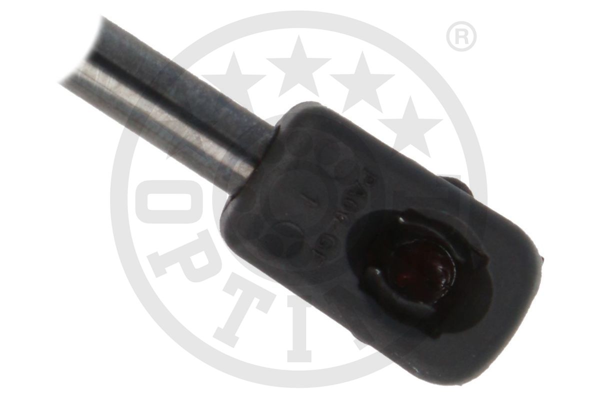 Gas Spring, boot/cargo area