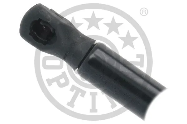 Gas Spring, boot/cargo area