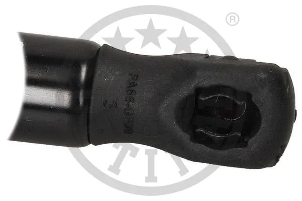 Gas Spring, boot/cargo area