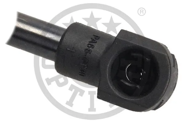 Gas Spring, boot/cargo area
