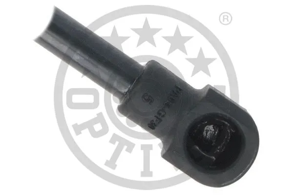 Gas Spring, boot/cargo area