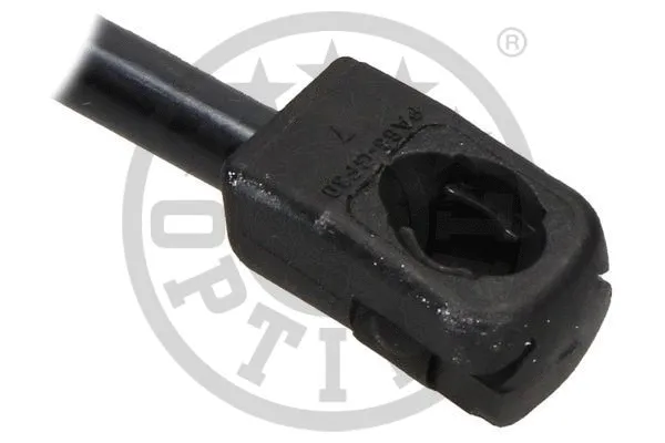 Gas Spring, boot/cargo area