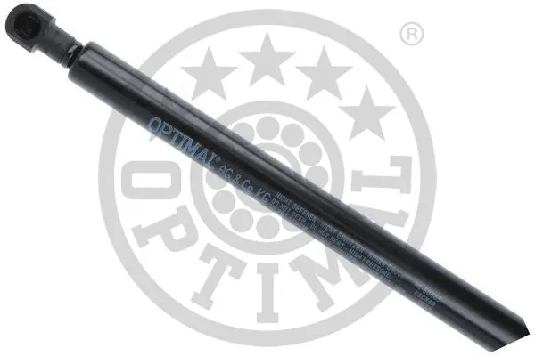 Gas Spring, boot/cargo area