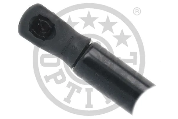 Gas Spring, boot/cargo area