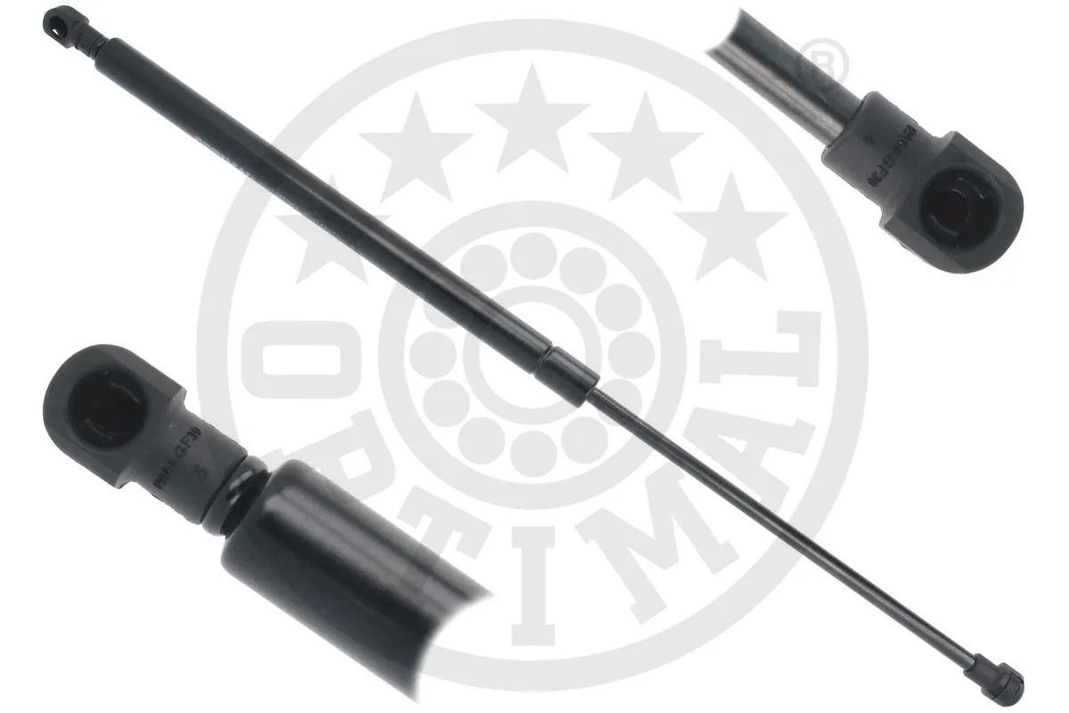 Gas Spring, boot/cargo area (AG-52250)
