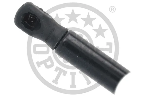 Gas Spring, boot/cargo area